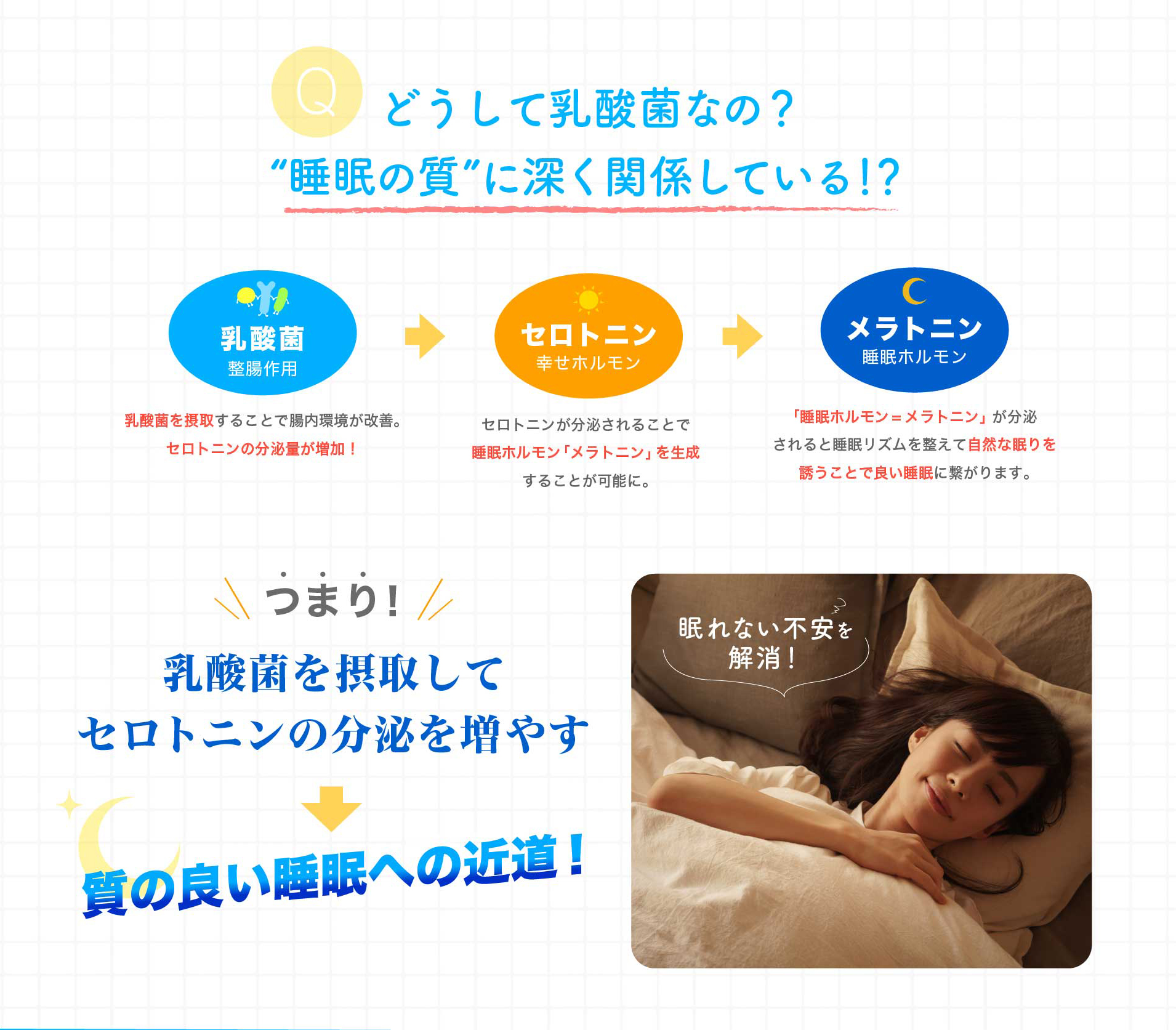 どうして乳酸菌なの？『睡眠の質』に深く関係している！？