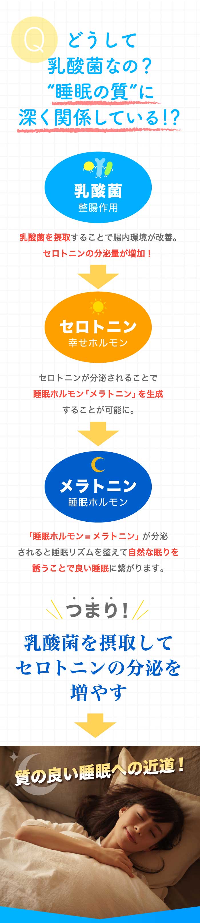 どうして乳酸菌なの？『睡眠の質』に深く関係している！？