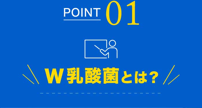 POINT 01 W乳酸菌とは？